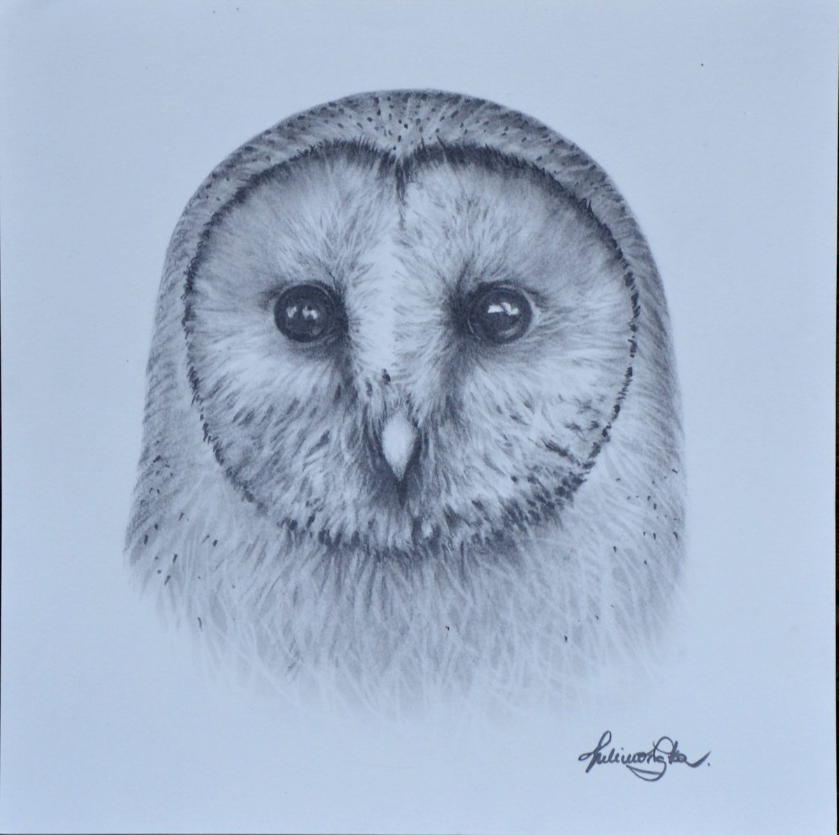 Barn Owl #2 by Maja Tulimowska - Chmielewska