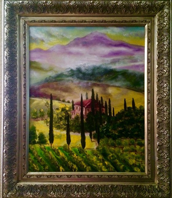 Tuscany Siena vineyards