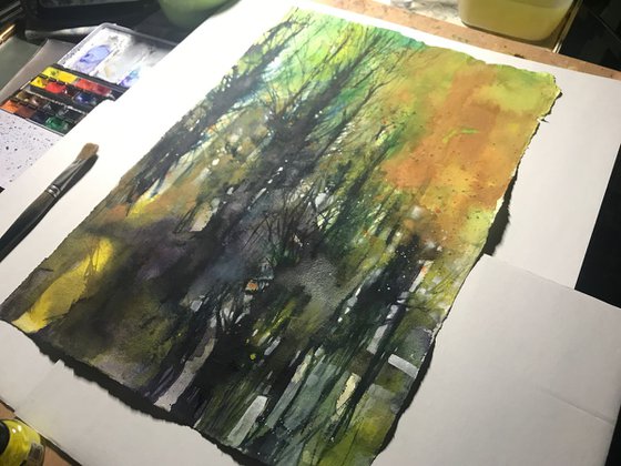Abstract woods