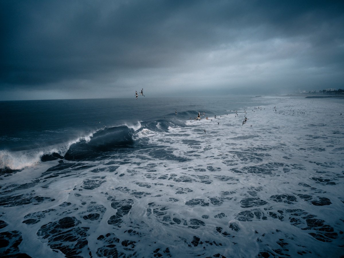 VENICE MOODS III by Harv Greenberg