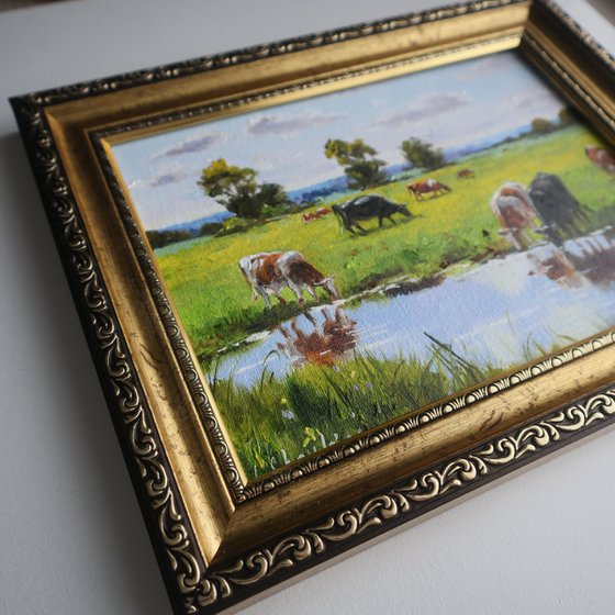 Cows by the River, Sunny Day