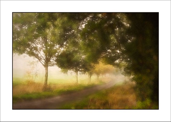The winding Road