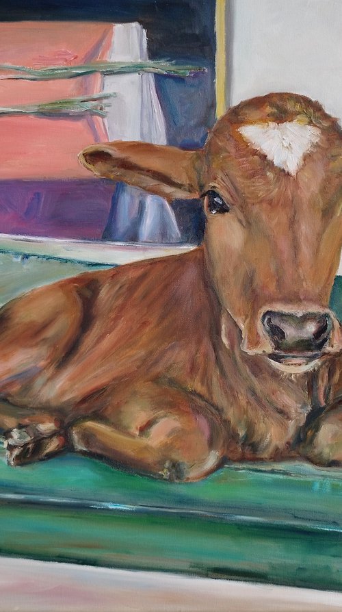 Brown Cow On Green Couch by Jura Kuba Art