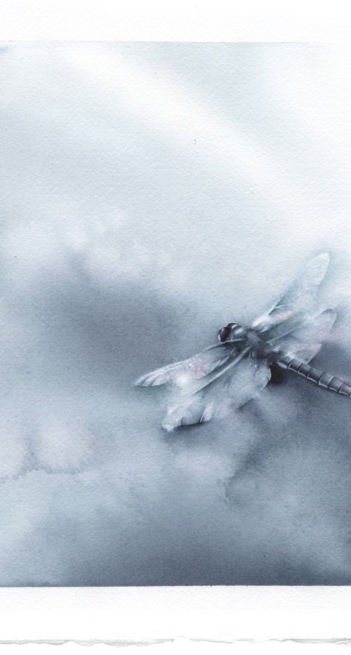 Glimpse - Dragonfly by ieva Janu