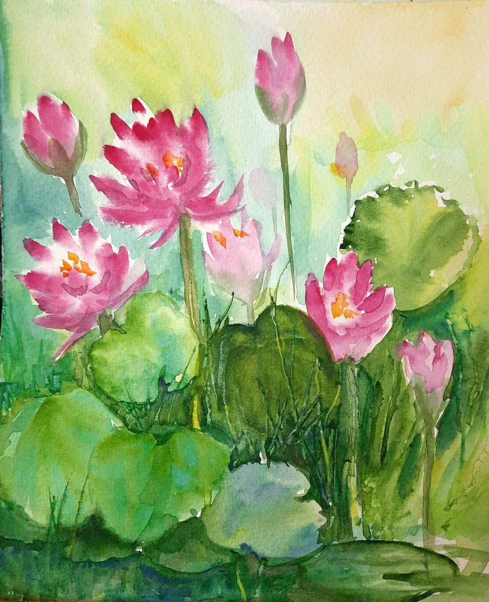 Lotus Pond in July - Watercolour Water Lilies on paper 11.75x 9.75 by Asha Shenoy