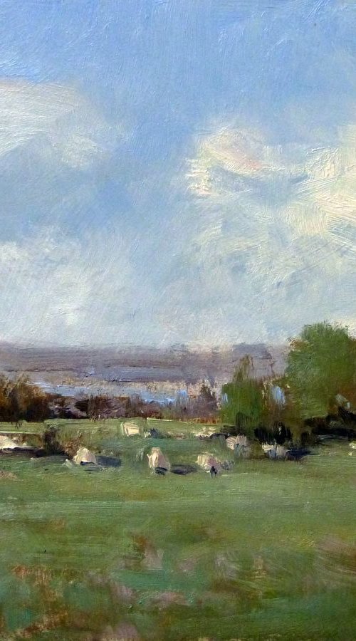 Small flock of sheep. by Pascal Giroud