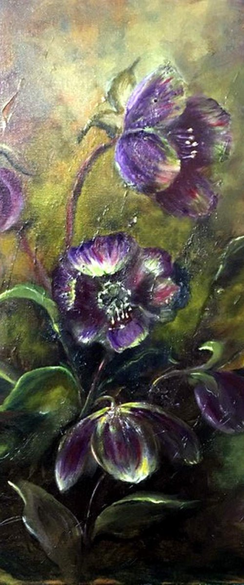 HELLEBORES by BARBARA  HARLOW