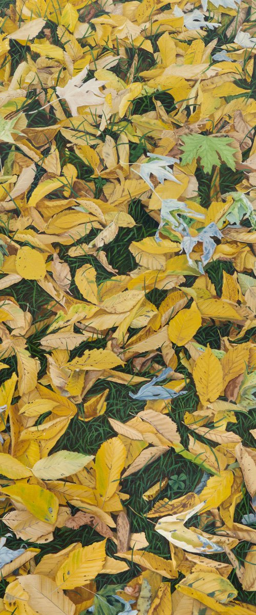 Leaf Fall by Christopher Witchall