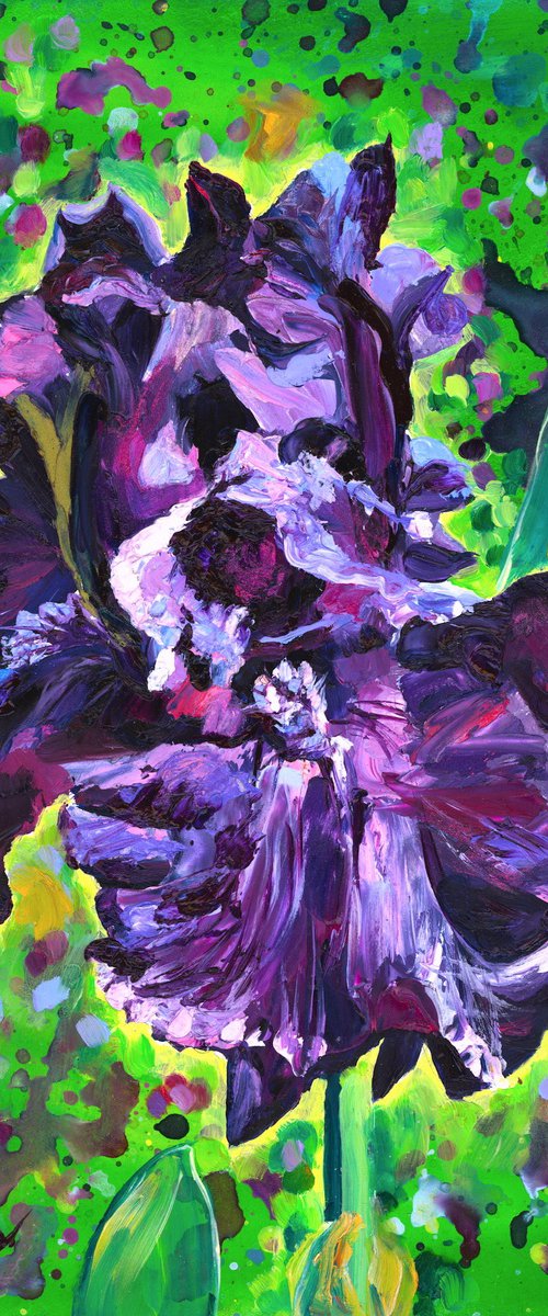 Deep Purple Iris II by Christina M Plichta