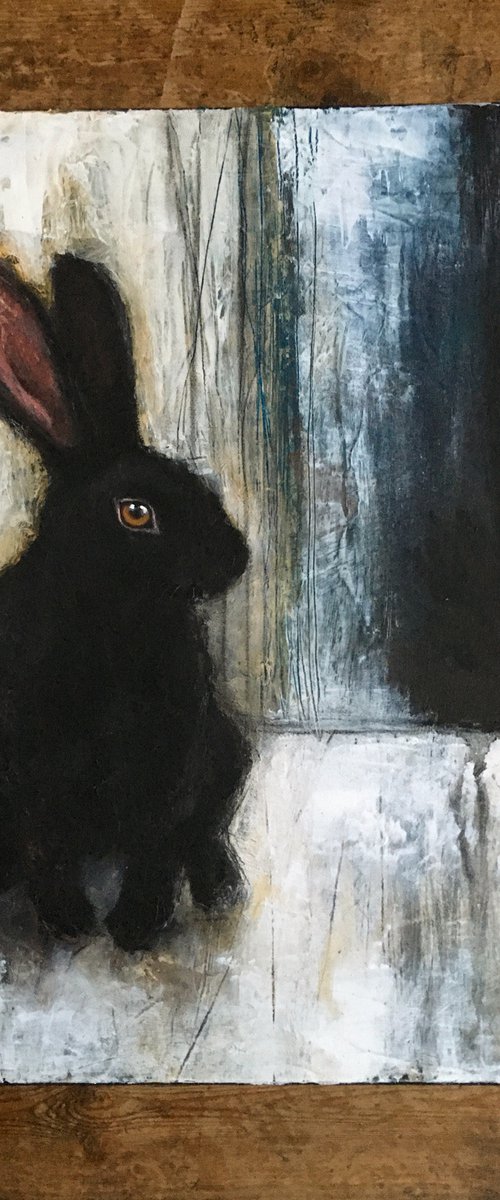 BLACK BUNNY by Eva Fialka