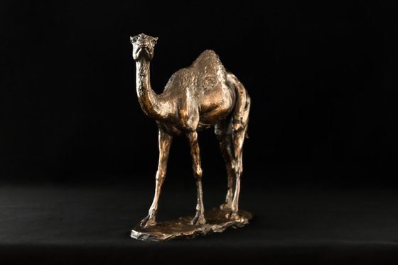 Camel Foundry Bronze sculpture