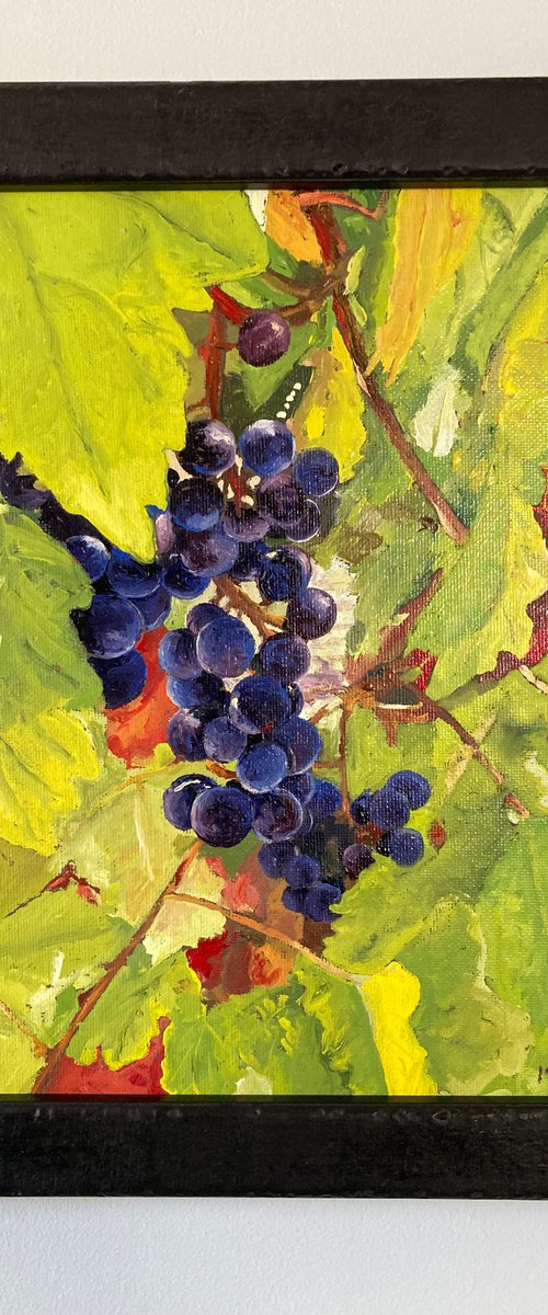 Grapes and leaves by Donn Poll