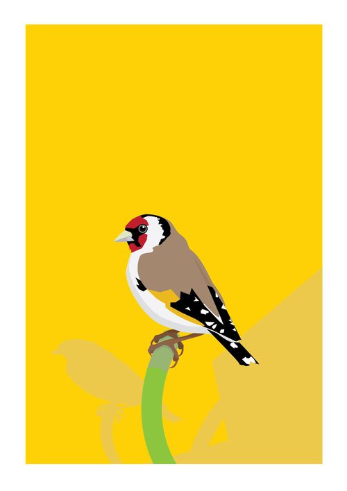 The Goldfinch unchained by David Gill
