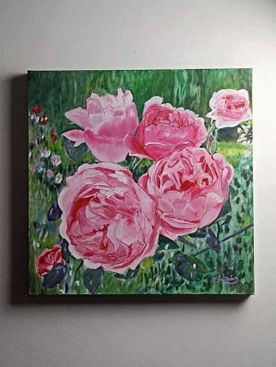 Pink roses