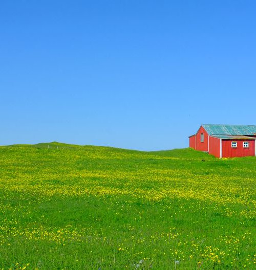 Small Orange House by Russ Witherington