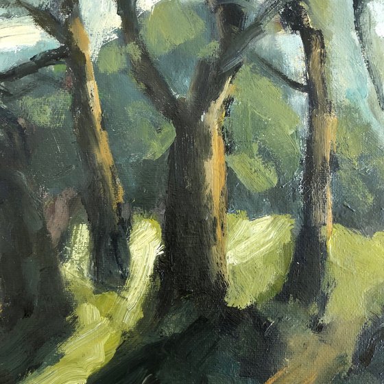 midwinter sun