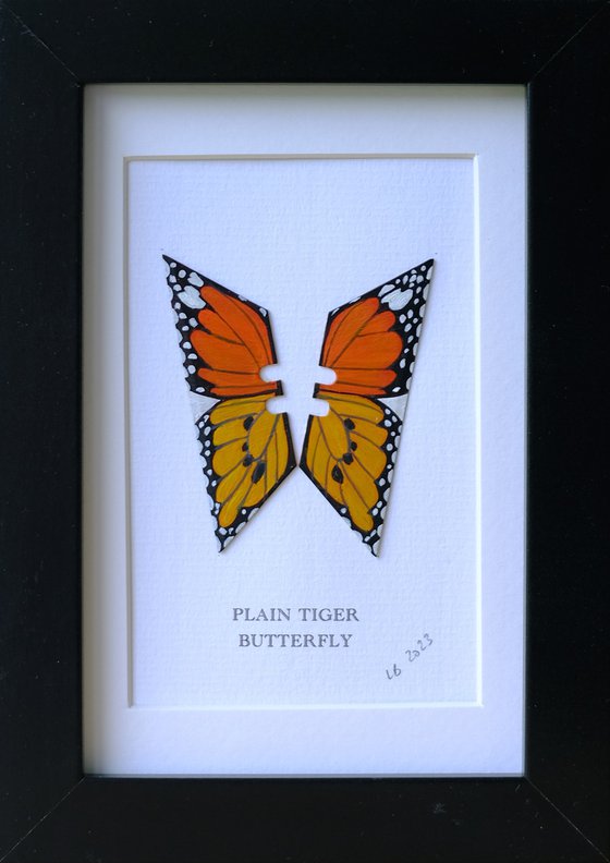 Plain Tiger butterfly