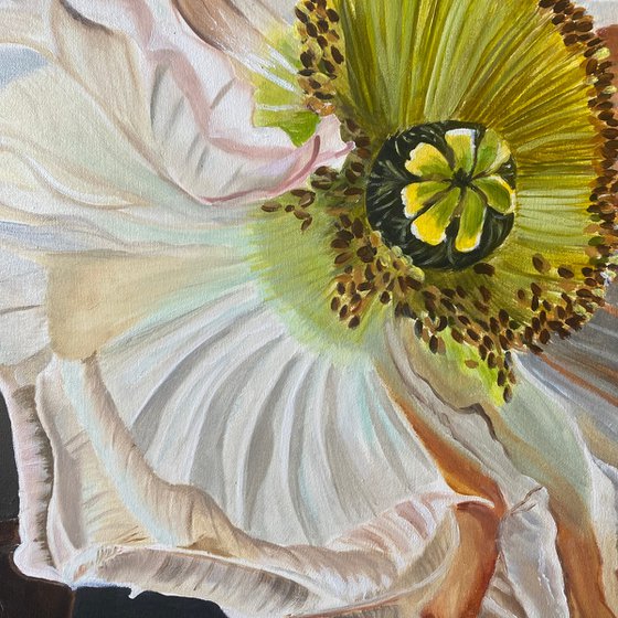 Poppy's Embrace