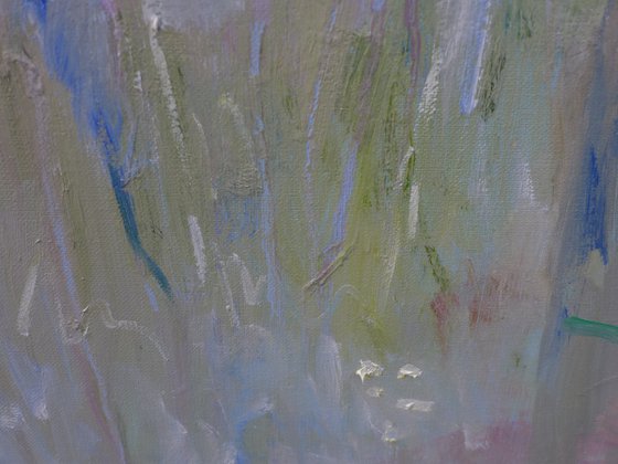 Morning In The Forest