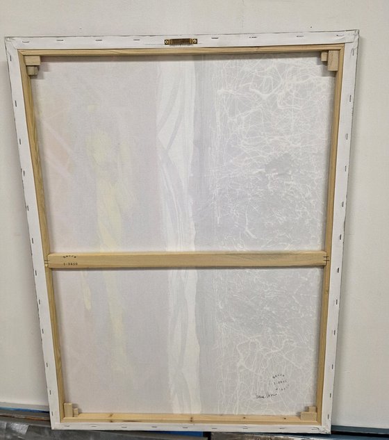 Harmonic Divergences