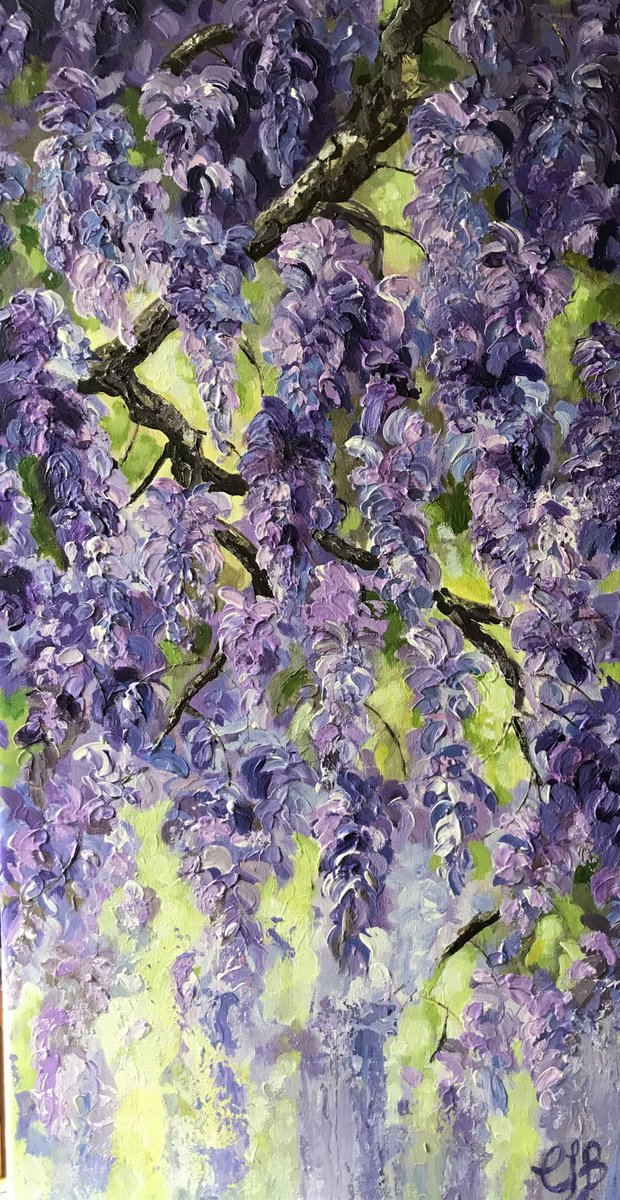 Wysteria no 2 by Colette Baumback