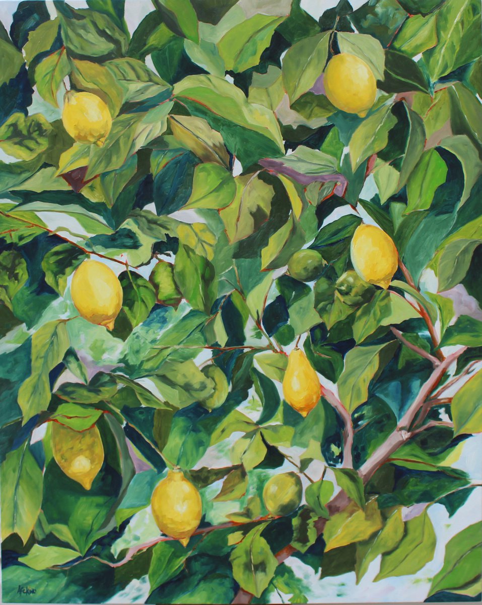 Lemon Tree V by Afekwo