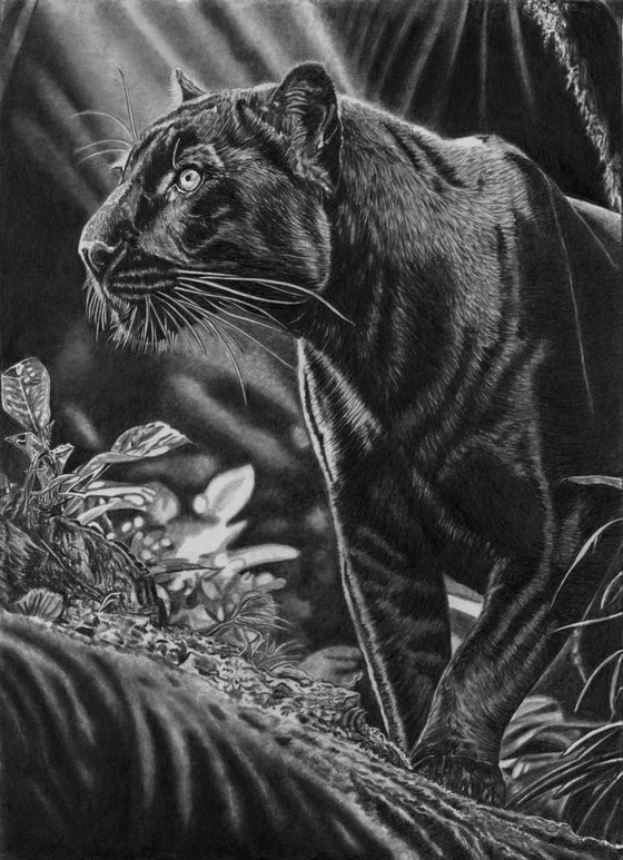Black Jaguar (Black Panther)