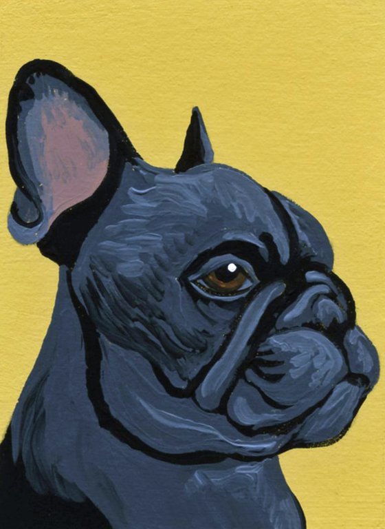 Black French Bulldog