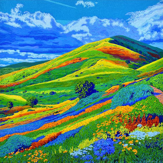 California Hills In Bloom