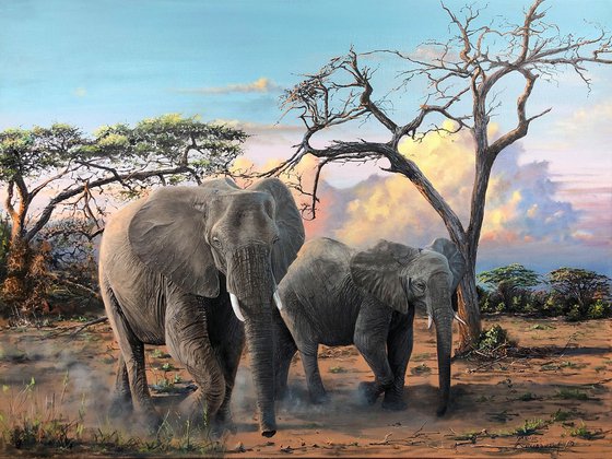 "Africa before sunset"
