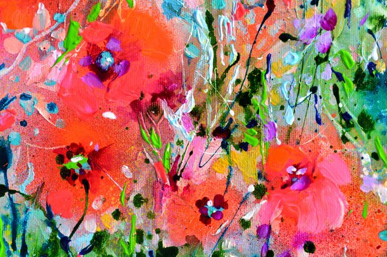 Tuscany Poppy Fields - Wild Flowers