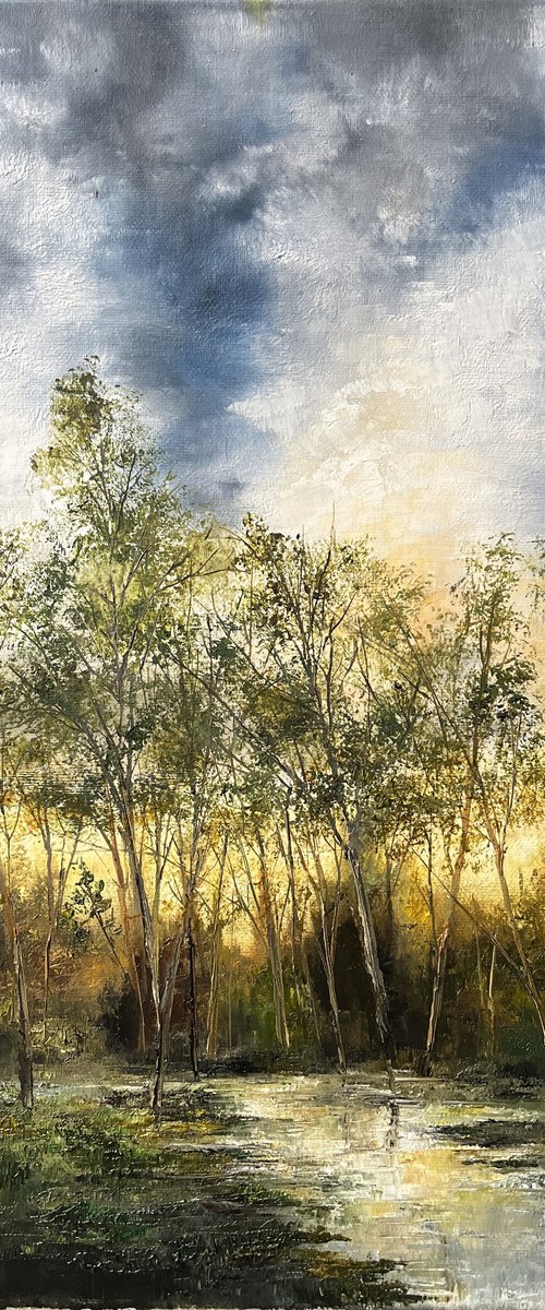 After the Rain by Kimberley  Harris