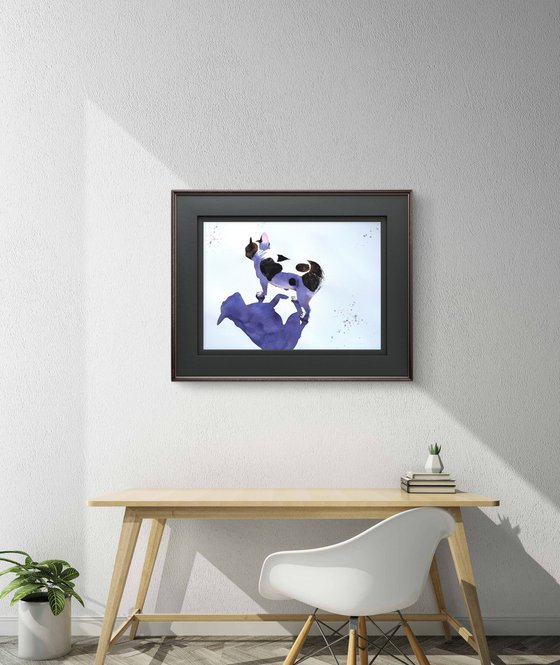 Black White Dog French Bulldog