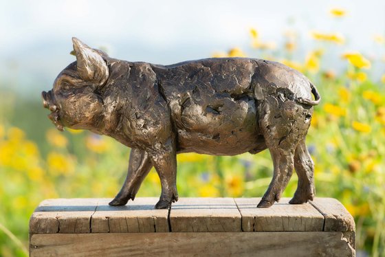 Standing Piglet BR