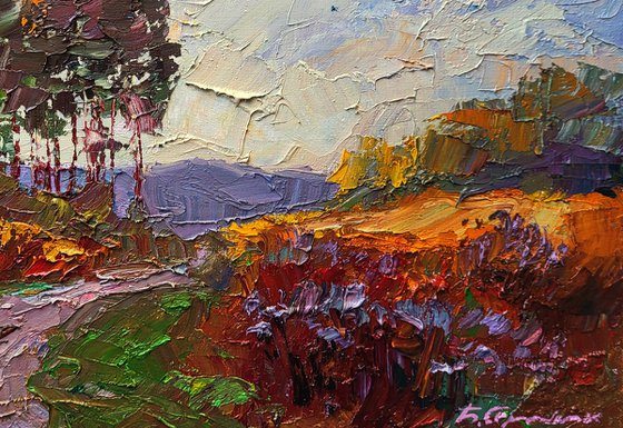 The road to the forest