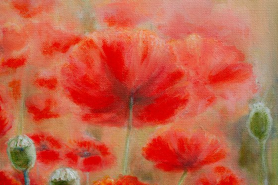 Poppies Dance