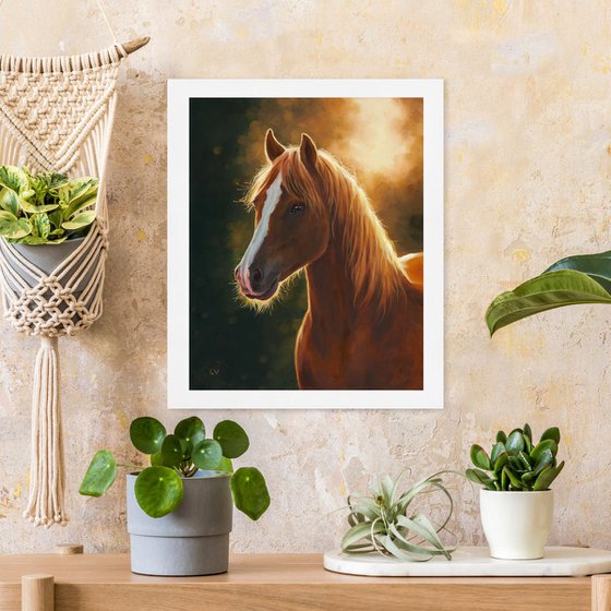 Brown horse portrait at sunset