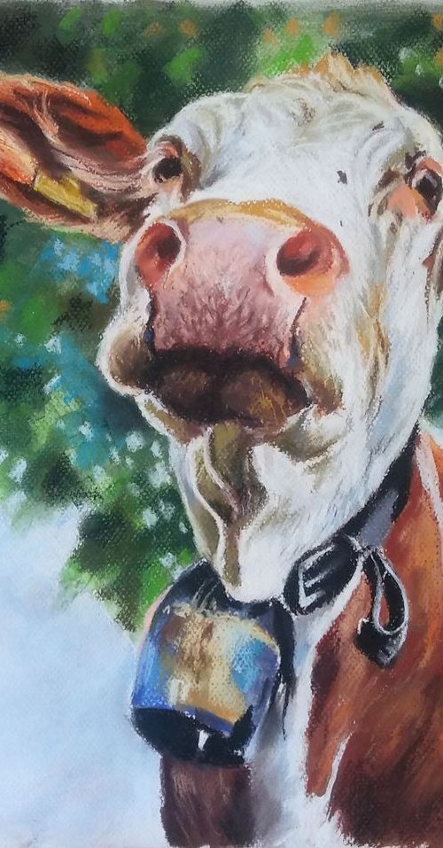 Happy cow by Magdalena Palega