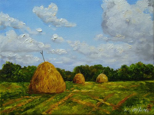 Country Hay Field by Natalia Shaykina
