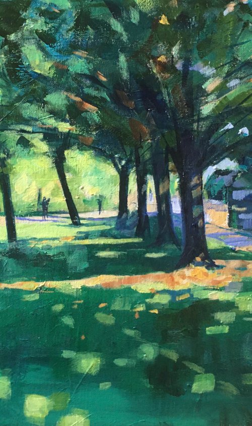 Christchurch Meadows in late summer by Stuart Roper