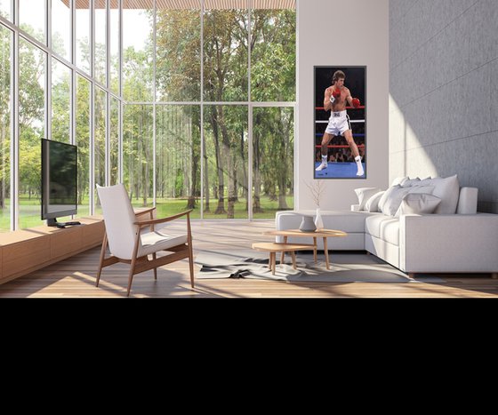 THE BOXER 2
