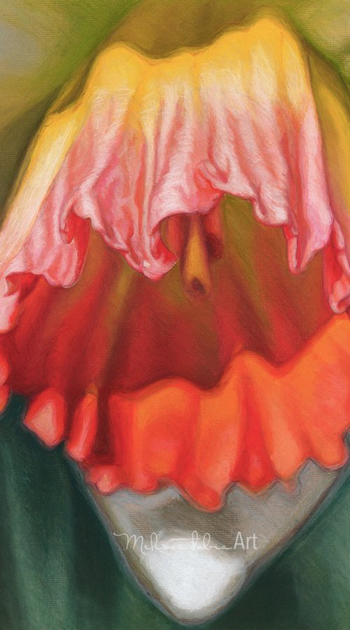 Showing Off by Melissa Tobia