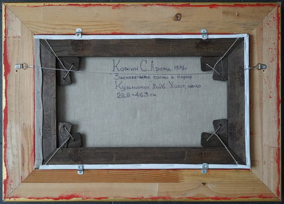 Snow-covered pine trees in Kuzminki Park