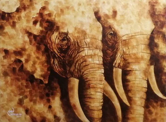 Two elephants