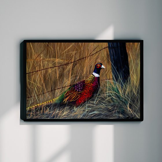 Fall Pheasant