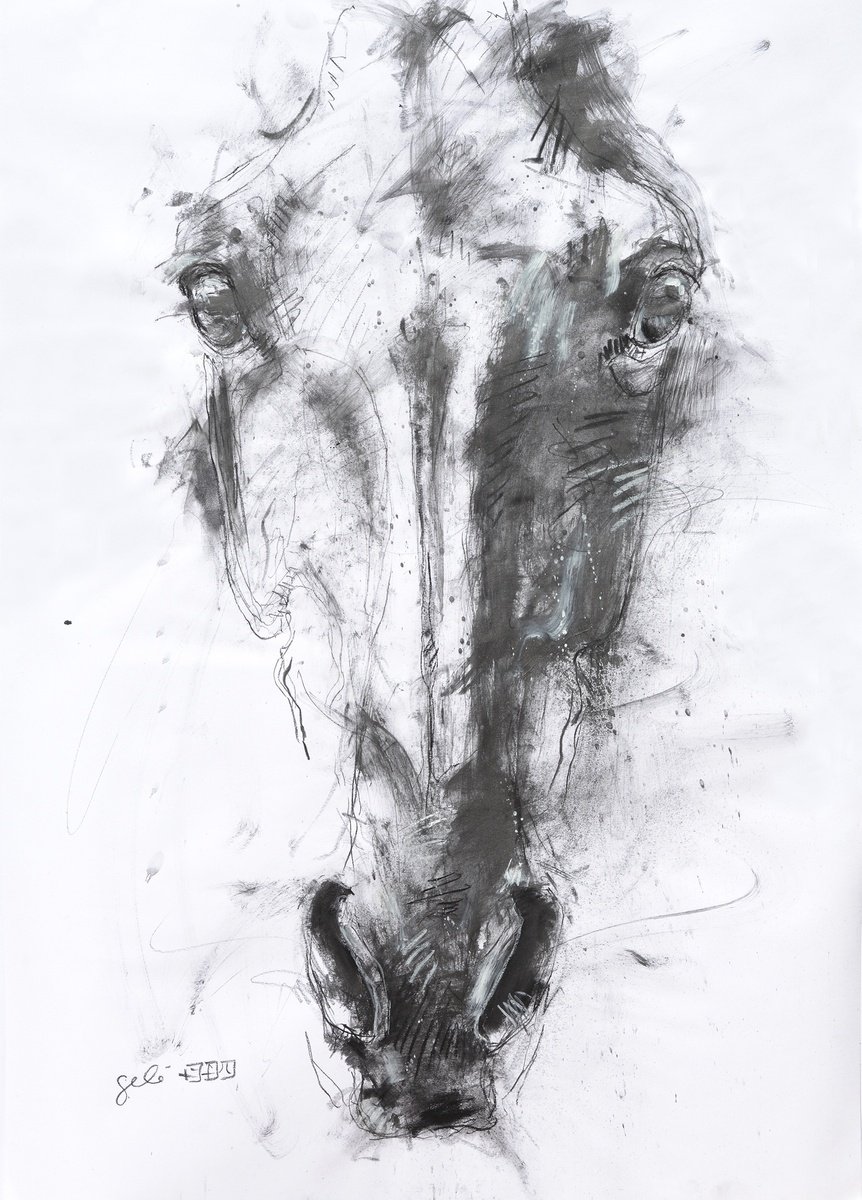 Expressive Animal Pencil Drawing By Benedicte Gele, 23 X 33, Face To Face 11P, Original Artwork