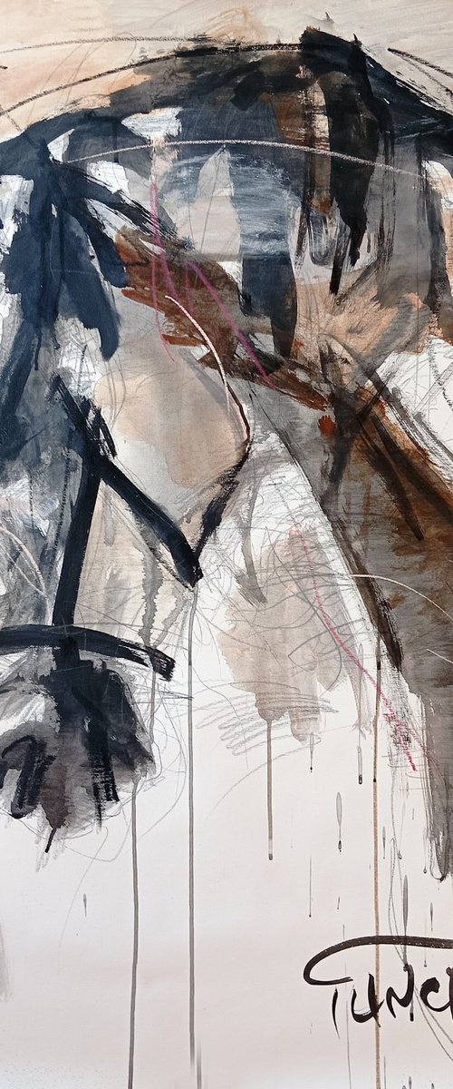 Wild grace 3-2025 (study) by Catalin Ilinca