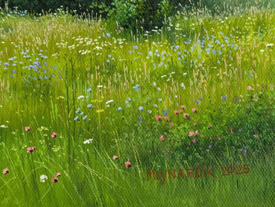 A relaxing summer day
