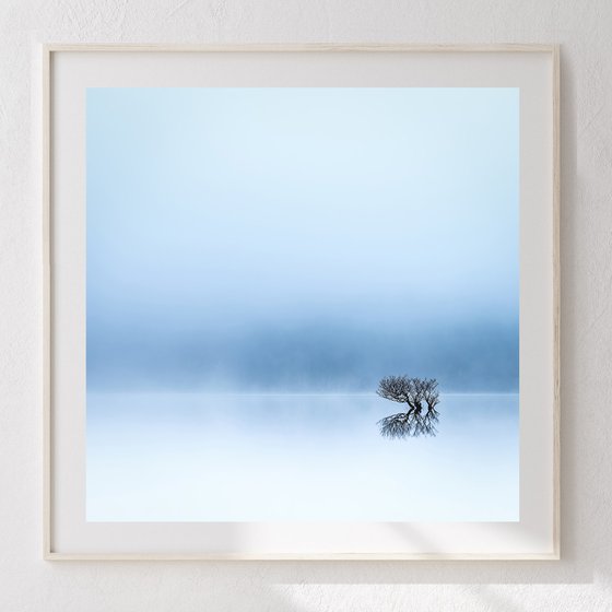 Lost in the mist.....