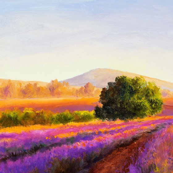 'A summer in Provence'